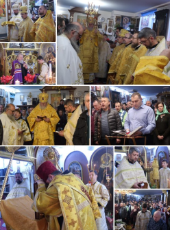 Snímek obrazovky 2026-01-20 041258