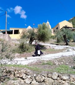 viber_image_2025-10-05_17-15-16-487