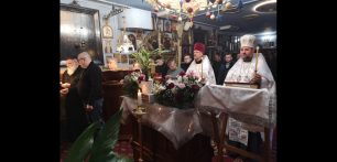 viber_image_2026-02-16_17-37-24-469