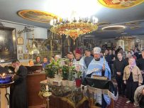 viber_image_2026-04-06_20-14-44-143