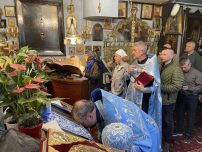 viber_image_2026-04-06_20-14-59-489