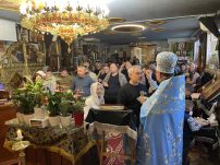 viber_image_2026-04-06_20-15-43-652